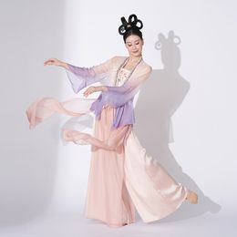 Fairy Hanfu Women Sheer Classical Dance Tops Chinese Dance Costume Fairy Clothes Folk Dancewear Performance Clothing JL4016