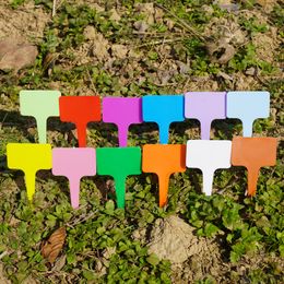 T-Shape Plastic Thick Plant Labels Waterproof Re-Usable Nursery Flower Vegetables Seedling Herb Tags Garden Markers Sign Stakes