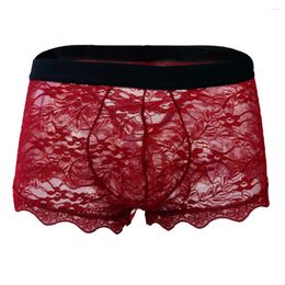 Underpants JAYCOSIN Mens Spandex Men's Sexy Underwear Lace Transparent Mesh Low Waist Boyshort High Quality Comfortable