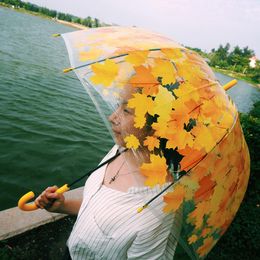 Brand Flower Umbrella For Women Transparent Umbrella Girl Parasol Sun Portable Strongly Rain Female Sun UV clear Kids Umbrellas