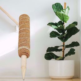 Garden Coir Totem Coconut Palm Sticks Vine Support Plant Moss Pole Pole Moss Stick For Climbing Plants Support Extension