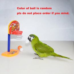 Funny Parrot Birds Mini Basketball Hoop Basket, Parrot Toys, Parrot Intelligence Puzzle Game, Chew Toys, Pet Supplies