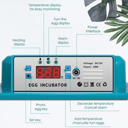 16 Eggs Chicken Brooder Incubator Automatic Egg Incubator Brooding Machine Chick Incubator with LED Temperature Display Home