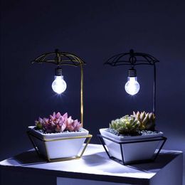 Simple Umbrella Shape Ceramic Plant Flower Pot Bracket Display Holder with Bulb TV Background Wall Hanger Creative Flower Pot