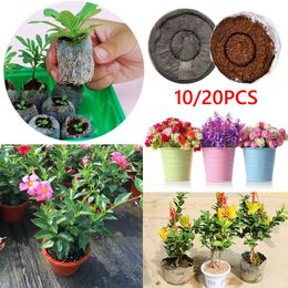 10/20pcs Compressed Peat Soil Pellets Seedling Block Maker Seeds Starting Plugs Seeds Starter Professional For Garden