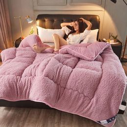 Thick Warm Lamb Cashmere Quilt Bed Duvet Inter Super Blanket single double Quilt Spring Autumn Comfortable Soft Plush Comforter