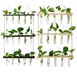 Vases Hanging Glass Vase Clear Flower Planter Stand Rust-proof Coin Grass Wall Pots Garden Living Rooms Home Wedding Decor