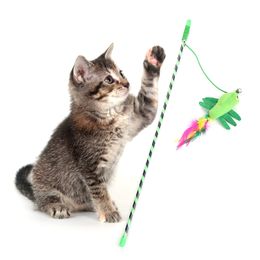 1PC Cat Teaser Wand Plastic Kitten Teaser Stick Fake Feather Cat Interactive Toy Funny Pet Training Toy Cat Wand Pet Supply