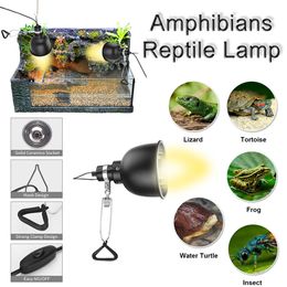 25/50/75W Reptile Lamp Pet Heat Lamp Bulb Turtle Basking Light Bulbs Amphibians Lizards Temperature Controller Heating Bulbs