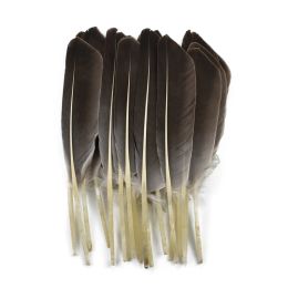 10Pcs Natural Turkey Feathers Duck Wing Feather Decor Crafts Big Plumes Eagle needlework Carnival Accessories Wedding Decoration