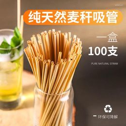 Drinking Straws 100PCS A Natural Wheat Straw Environmentally Friendly Portable Biodegradable Bar Kitchen Accessories