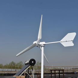 Wind Generator Portable 1000W Alternative Energy Windmills 12V 24V 48V Wind Turbine for home Use