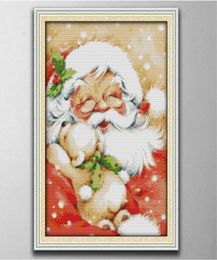 Red Santa Claus home decor paintings Handmade Cross Stitch Craft Tools Embroidery Needlework sets counted print on canvas DMC 14C7483182
