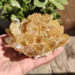 Natural Raw Citrine Quartz Stone Crystal Cluster Healing Yellow Stones mineral Specimen Home Decoration