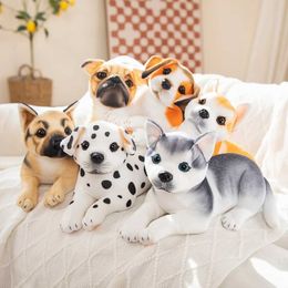 Plush Dolls Filling Life Dog Plush Toy Simulation Husky Akita Shepherd Dog Cute Dog Pet Toy Home Decoration Girl Birthday Gift J240410