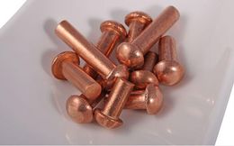 30pcs M2 semicircular head copper rivet Copper nail solid rivets round cap screw 3-12mm length