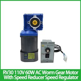 RV30 110V 60W AC Worm Gear Motor With Speed Reducer Speed Regulator High Torque Hot Sale Motor