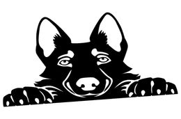 1511CM Peeking Handsome Cool Graphics German Shepherd Cute Vinyl Decal Car Sticker BlackSilver CA12692778853