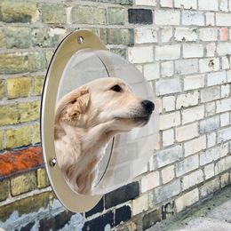 Pet Dog Cat Door Ramps Space Window for Wall Security Flap Gate Pet Tunnel Peephole Dog Fence Window for Home Treat Pet Autism