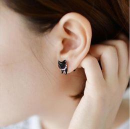 3D Cute black cat piercing stud earrings for women girls and men pearl earring fashion jewelry wholesale1922388