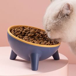 Raised Plastic Cat Bowls Round Food and Water Bowls for Cats and Small Dogs Elevated Pet Feeder Dish Extra Wide for Indoor