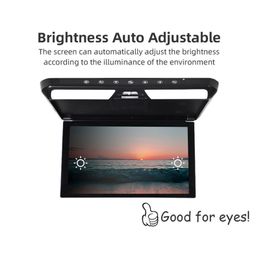 12.1 Inch Car Ceiling Monitor HD LCD Screen Automobile Roof Mount Display Video Movie Players Multimedia TV HDMI Audio Out FM