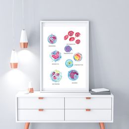 Physician Blood Cell Anatomy Wall Art Physician Canvas Print Watercolour Haematology Painting Poster Biology Medical Gift Decor