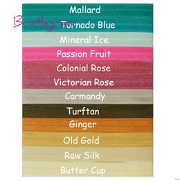 BRISTLEGRASS 100 Yard by Roll 5/8" 15mm Solid Shiny Fold Over Elastics FOE Spandex Satin Band Hair Tie Headband Lace Trim Sewing