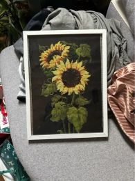 Sunflower cross stitch package plant sets aida 18ct 14ct 11ct black cloth people kit embroidery DIY handmade needlework