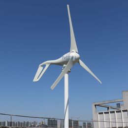 FLTXNY 4000W Wind Turbine Generator Three Phase Ac 12V 24V 48V Wind Turbine With Controller Regulator