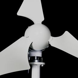 2020 new horizontal axis wind turbine 800W 12v 24v 48v Wind generator with mppt controller