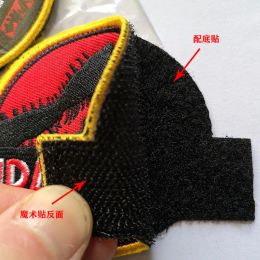 Red Color Jurassic Park Dinosaurs Embroidery Patches Custom Stripes Clothing Punk Stickers Hook&Loop Military Badges Appliques