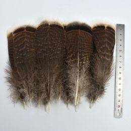 20Pcs/Lot Natural Pheasant Eagle Feather Turkey Feathers for Crafts Carnaval Handicraft Assesoires Dream Catcher Decor Clothes