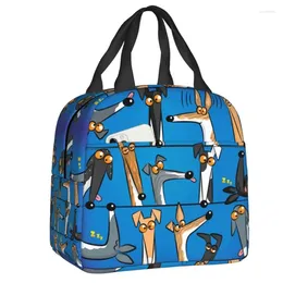 Storage Bags Whippet Dog Insulated For Women Leakproof Greyhound Sighthound Cooler Thermal Lunch Tote Office Picnic Travel