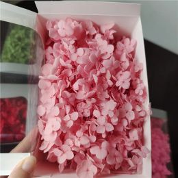 20g,Real Dried Natural Fresh Preserved Ana Hydrangea FlowersHead,Eternal Small Leaves Flower Petals For DIYY Wedding Decoration