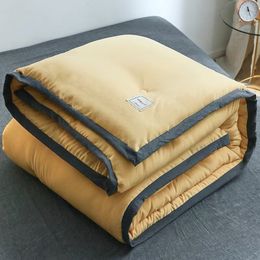 Thick Warm Winter double space quilt single dormitory comforter Spring&Autumn duvets winter air conditioning silk quilt blanket