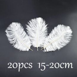 New white ostrich Goose Pheasant feathers for Crafts DIY ostrich feathers trimming Fringe Sewing clothes plumes Party decoration