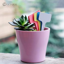 50PCS Cheap 6*10cm Plastic Plant T Type Tags Markers Nursery Garden Labels Stick Sign Flowers Vegetables Plantings Label Tools