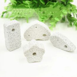 1PC Novel Guinea Pig Hamster Rabbit Squirrel Teeth Grinding Mineral Molar Stone Chew Toys for Chinchilla Rabbit Cage Accessories