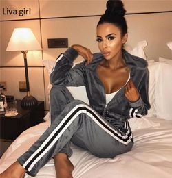 Velvet tracksuit women two piece set Zipper Hoodies long sleeve o neck spring clothing sets women casual pink sweat suits7992343