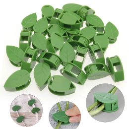 InvisiblePlant climbing wall Self-Adhesive Fastener Tied fixtureRattan Vine Bracket Fixed Garden plant wall climbing Vine Clips