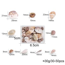 1bag Ocean Shell Conch Crystal Epoxy Filler Jewelry Fillings Accessory DIY Charms Handmade River Snail Shell Stuff Resin Craft