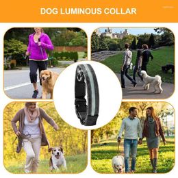 Dog Collars Led Collar Light Anti-lost For Dogs Puppies Night Luminous Supplies Pet Products Accessories Multi-color Puppy