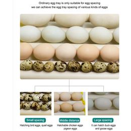 Egg Turning Tray, Egg Incubator Egg Turner Tray with Automatic Turning Motor for Hatching Chicken Duck Bird Quail Poultry(110V)