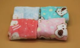 Small Pet Special Blanket Rabbit Guinea Pig Chinchilla Squirrel Blanket Hedgehog Honey Bag Thick Quilt Plus Velvet Thick