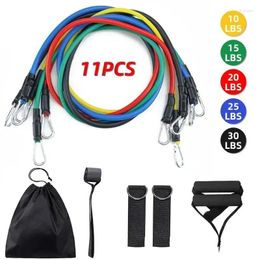 Resistance Bands 11pcs TPE Band Set Fitness Pull Rope Elastic Training With Door Anchor Handles Carry Bag Legs Ankle Straps