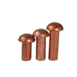 20/50Pcs M2 M2.5 M3 M4 GB867 Copper Solid Round Head Rivet Alloy Self-plugging Rivet