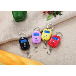 25Kg X 10g Cute Mini Digital Scale for Fishing Luggage Travel Weighting Keychain Portable Hanging Electronic Hook Kitchen Tool