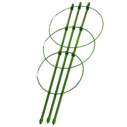 Climbing Plant Support Cage Plant Support Ring Adjustable Plant Trellises Garden Basket Plant Fixed Climbing 2