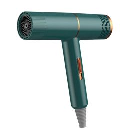 Dryers Professional Hair Dryer Negative Ionic Blow Dryer Hot/Cold Wind Salon Hair Styler Tool Portable Hair Electric Blow Drier Blower